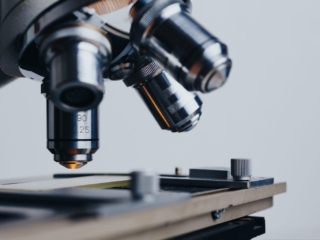 LeitVIEW spectral analysis